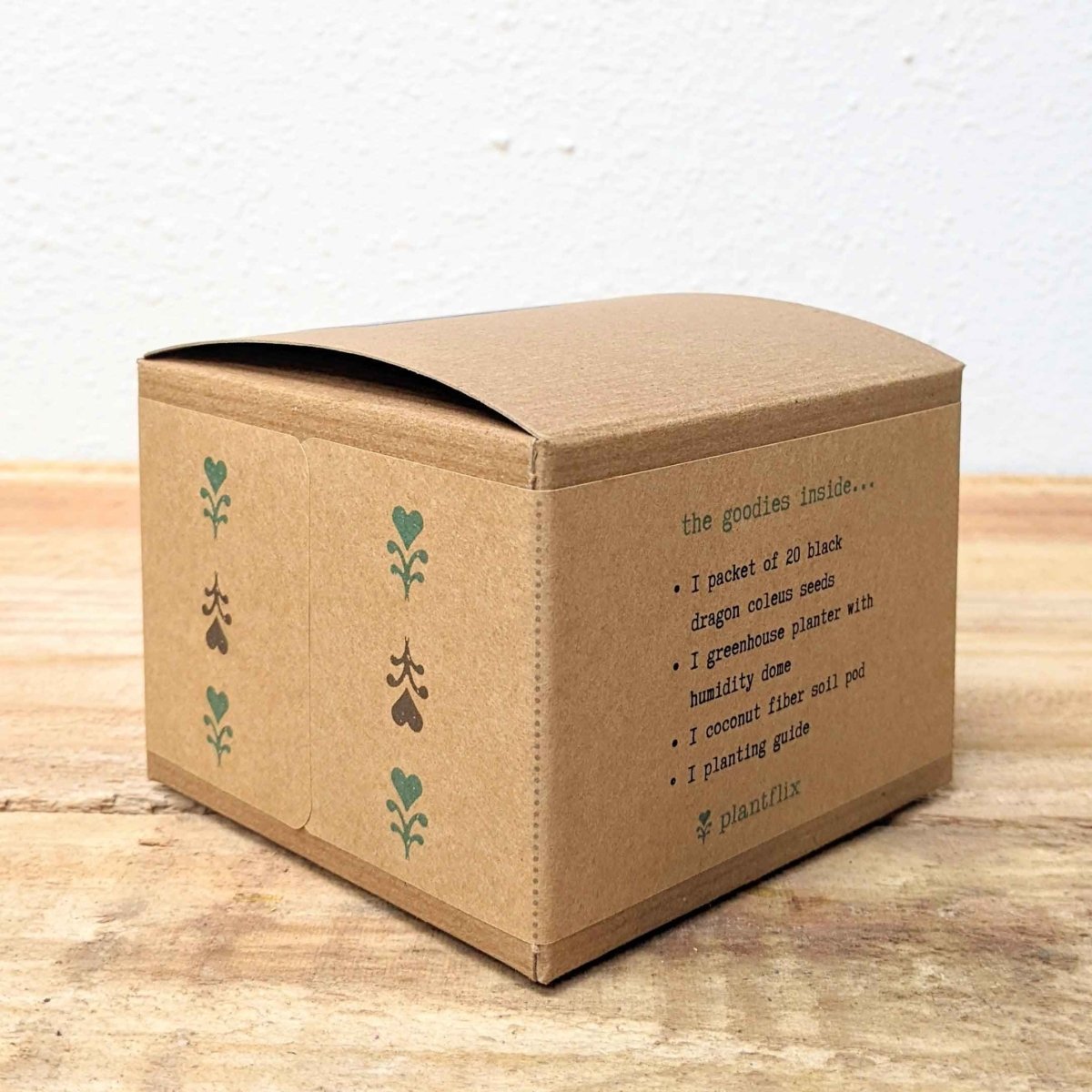 Grow a Coleus Seed Kit, view 15