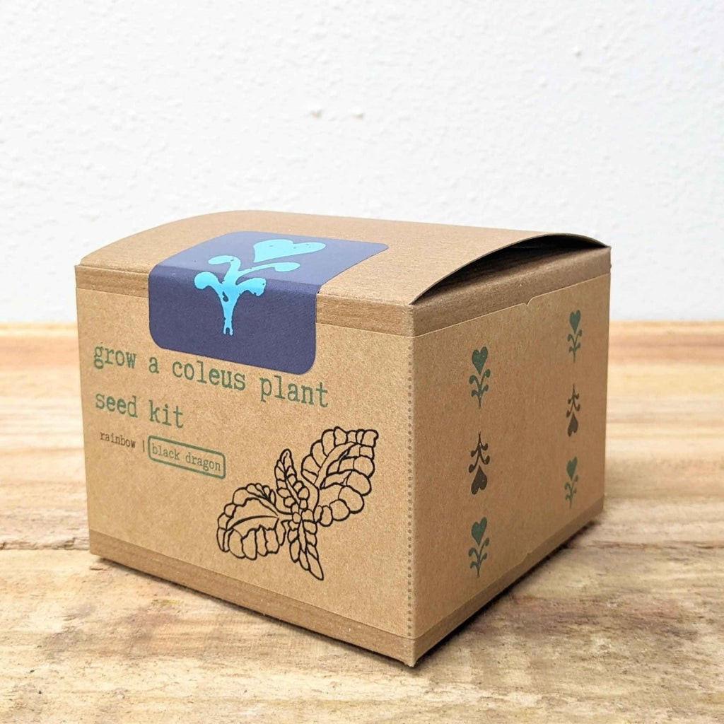 Grow a Coleus Seed Kit, view 14