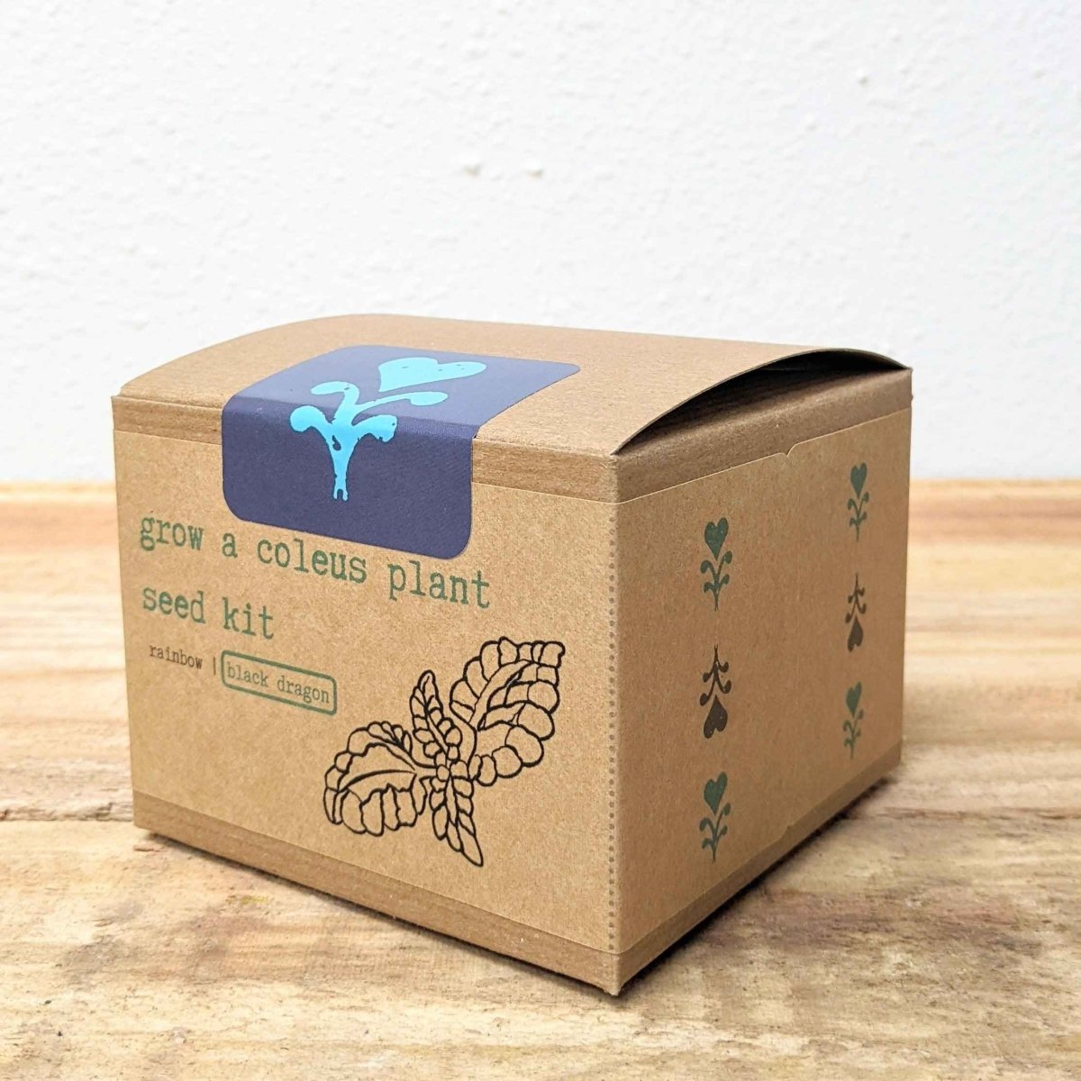 Grow a Coleus Seed Kit, view 14
