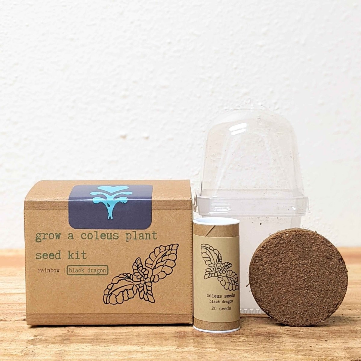 Grow a Coleus Seed Kit, view 4