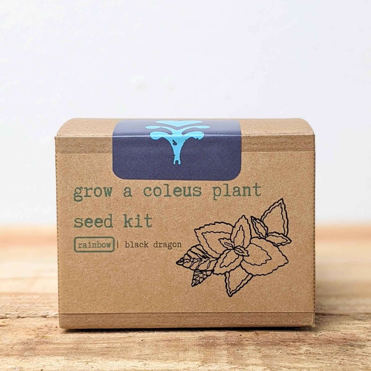 Grow a Coleus Seed Kit, view 9