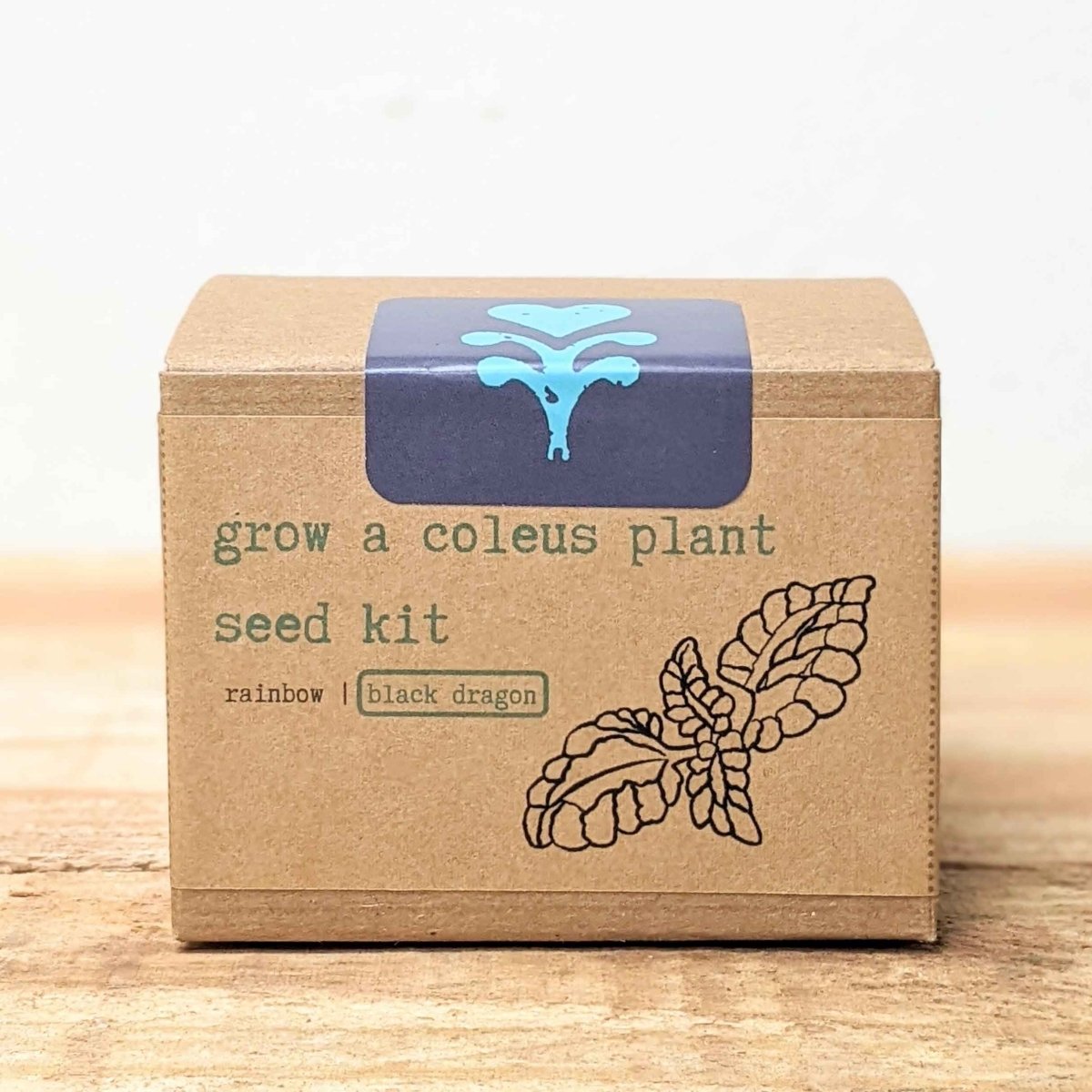Grow a Coleus Seed Kit, view 13