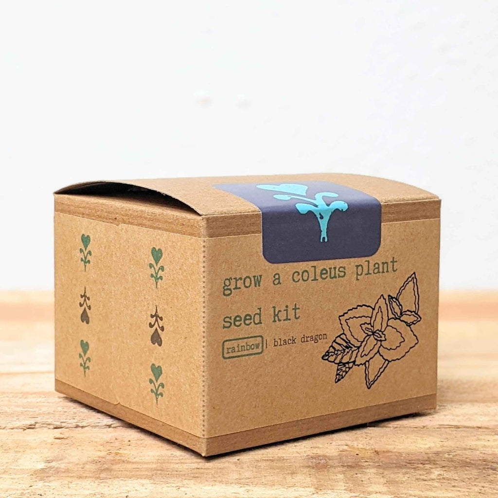Grow a Coleus Seed Kit, view 11