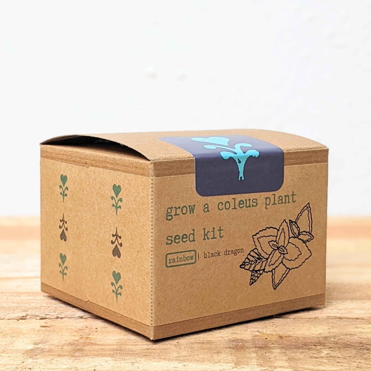 Grow a Coleus Seed Kit, view 11