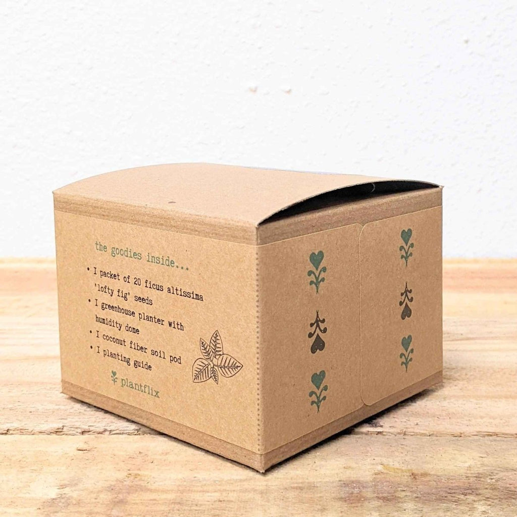 Grow a Ficus Altissima Seed Kit, view 9