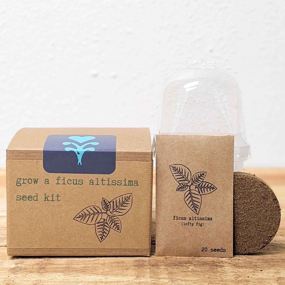 Grow a Ficus Altissima Seed Kit, view 3