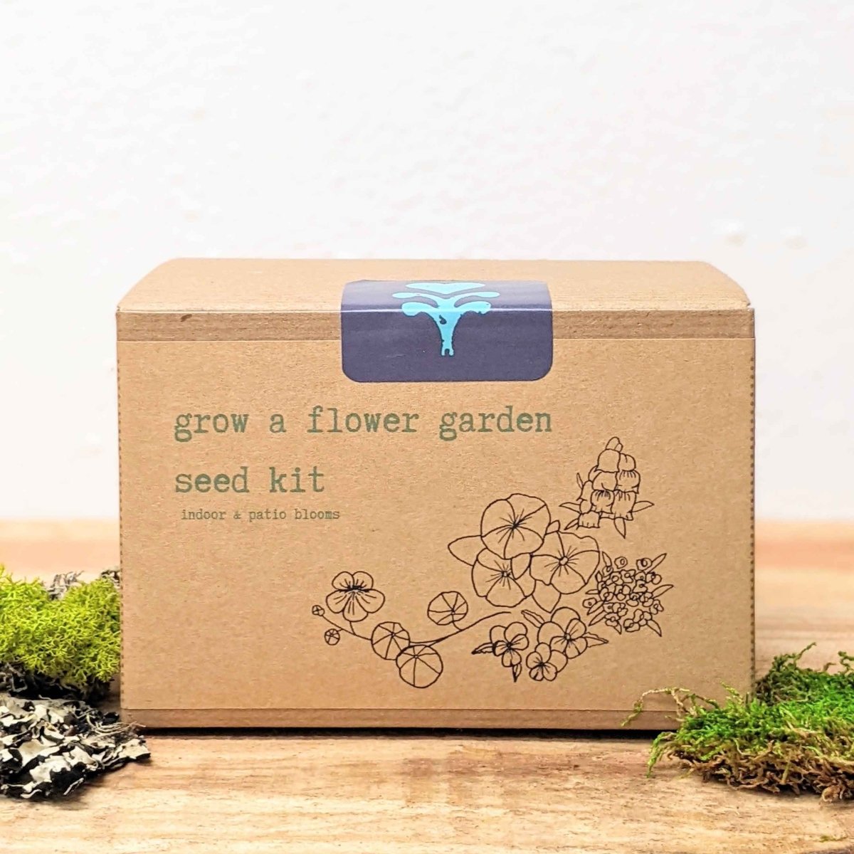 "Grow a Flower Garden" Indoor Blooms Seed Kit, view 6