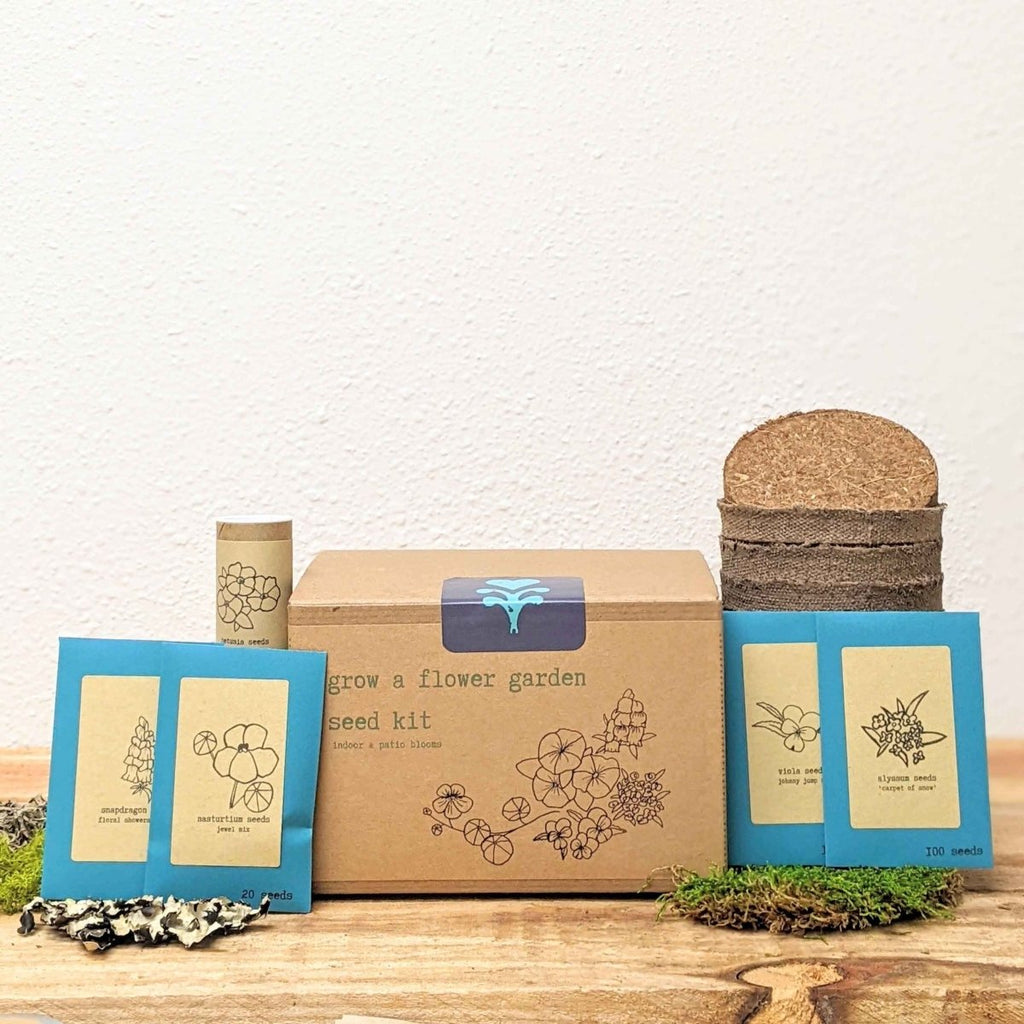 "Grow a Flower Garden" Indoor Blooms Seed Kit, view 2