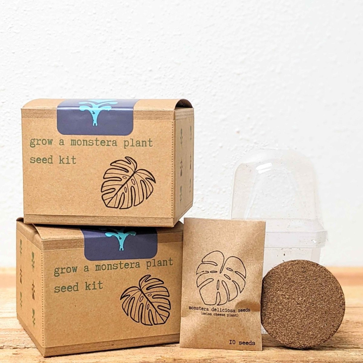 Grow a Monstera Seed Kit, view 2