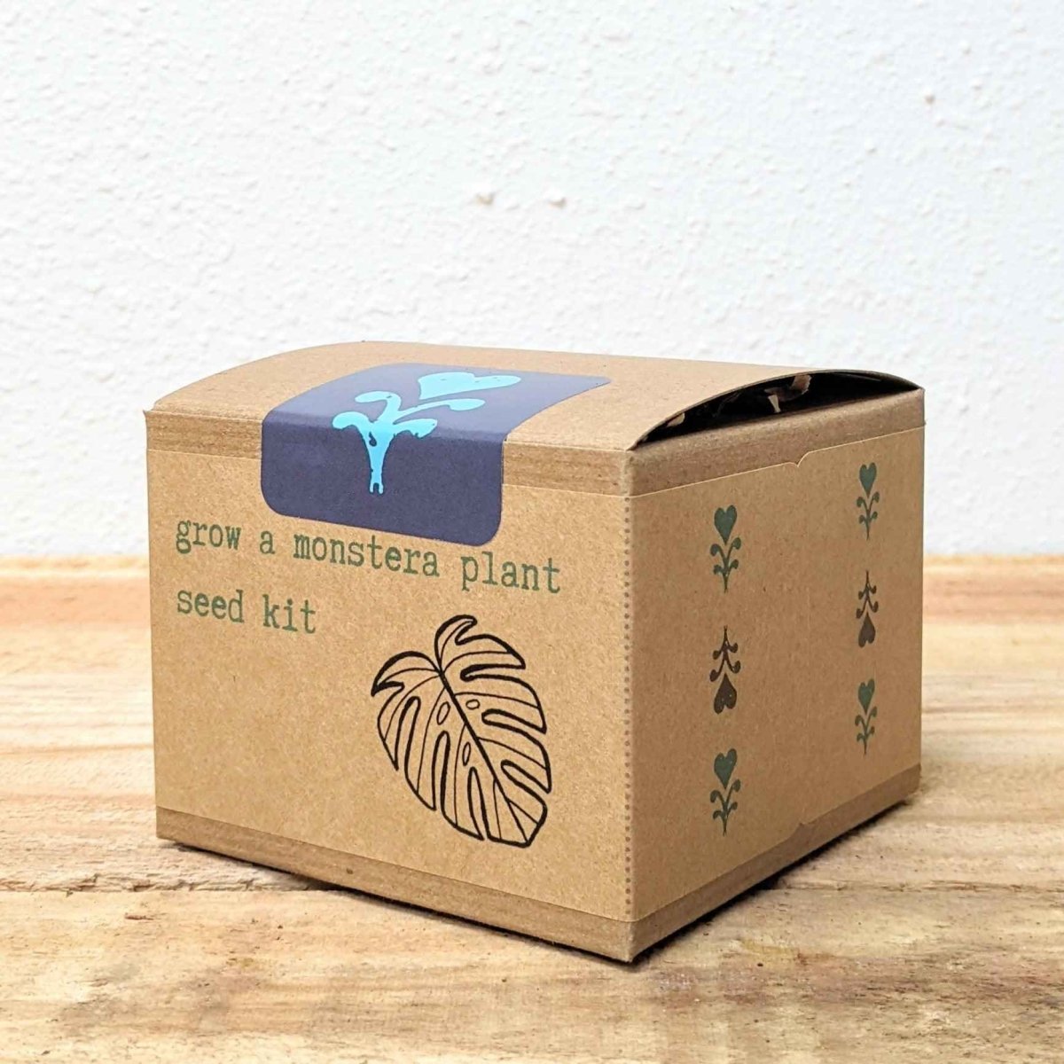 Grow a Monstera Seed Kit, view 4