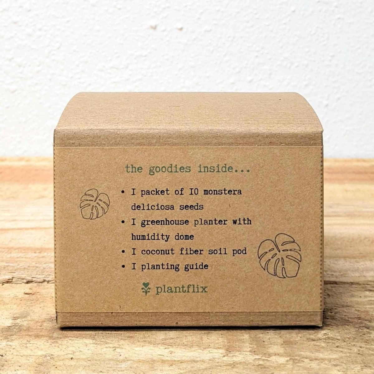 Grow a Monstera Seed Kit, view 5