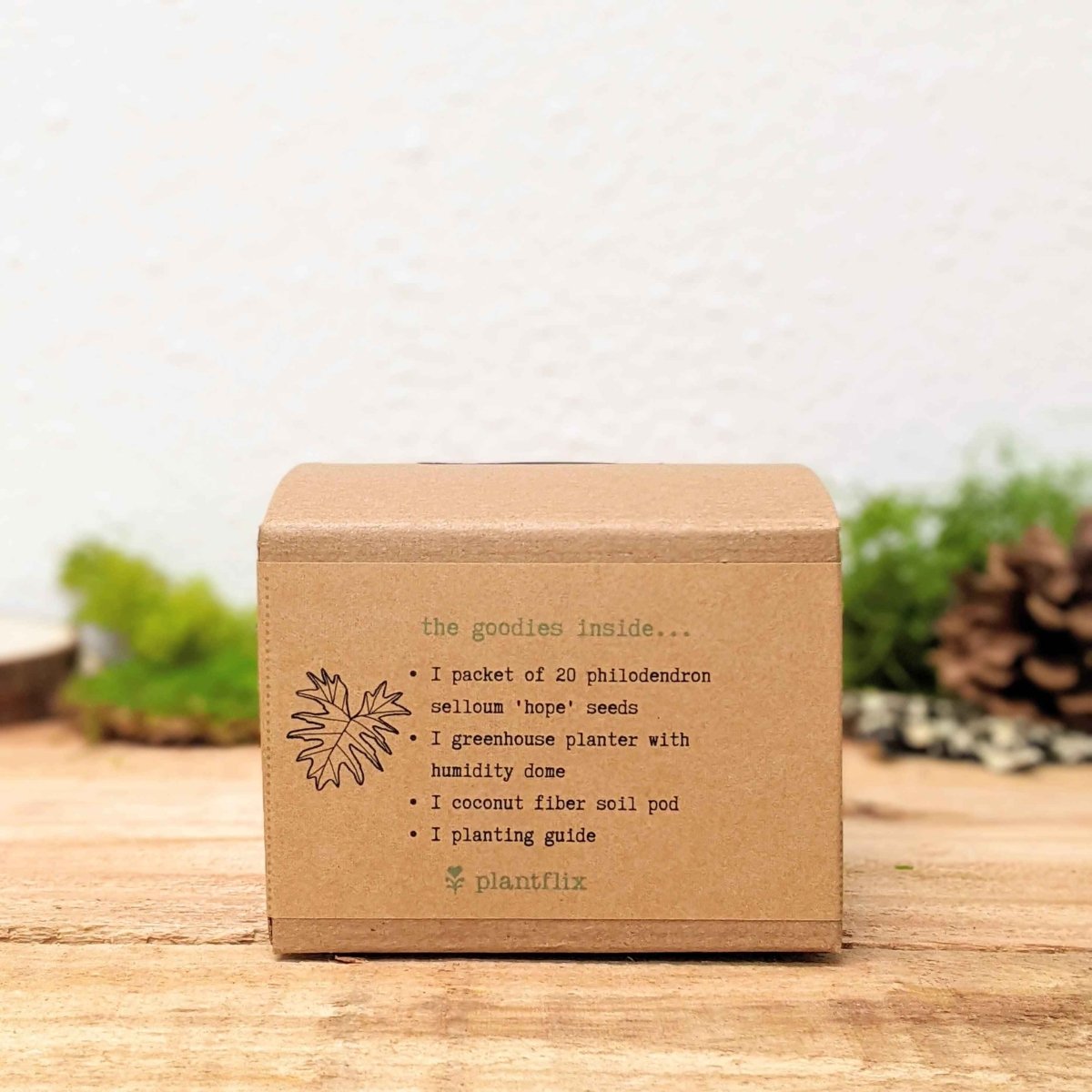 Grow a Philodendron Seed Kit, view 5