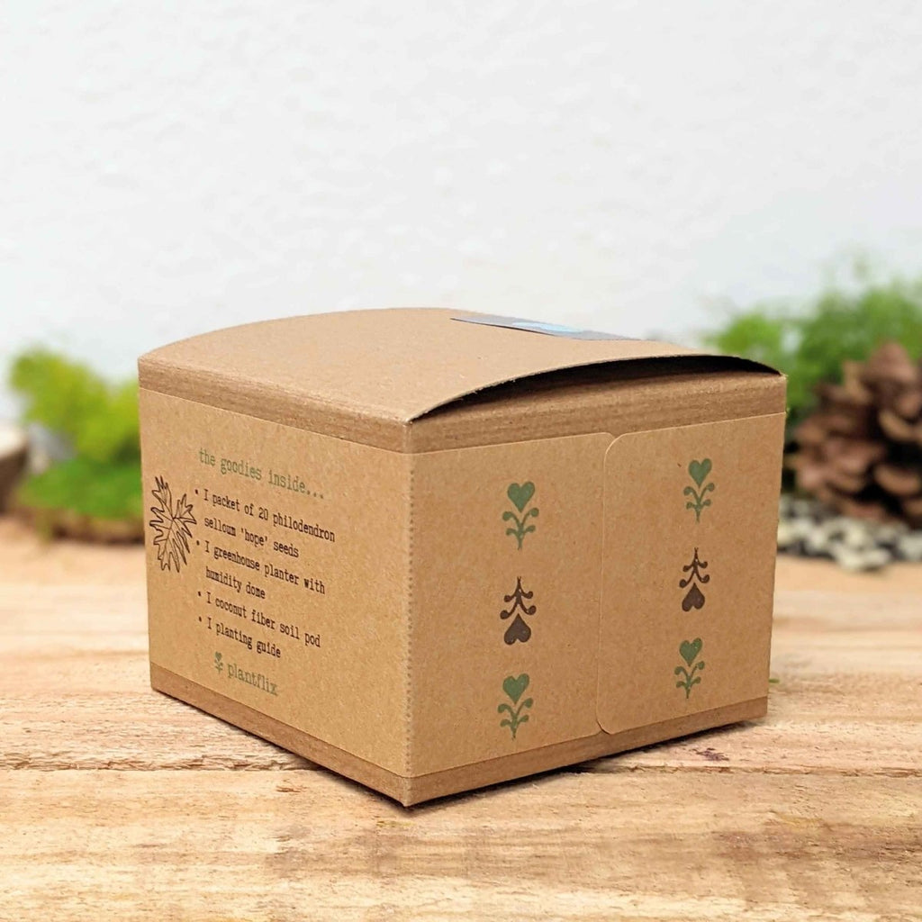 Grow a Philodendron Seed Kit, view 4