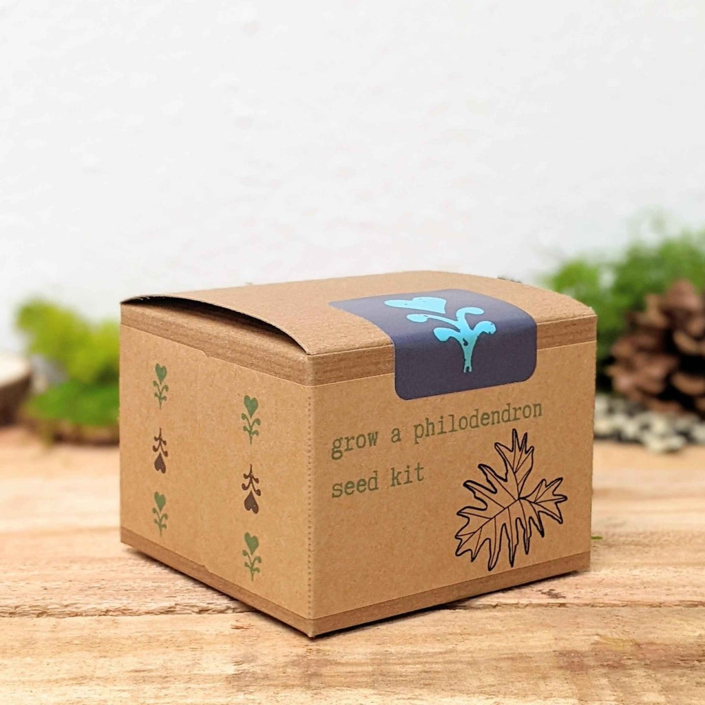 Grow a Philodendron Seed Kit, view 3