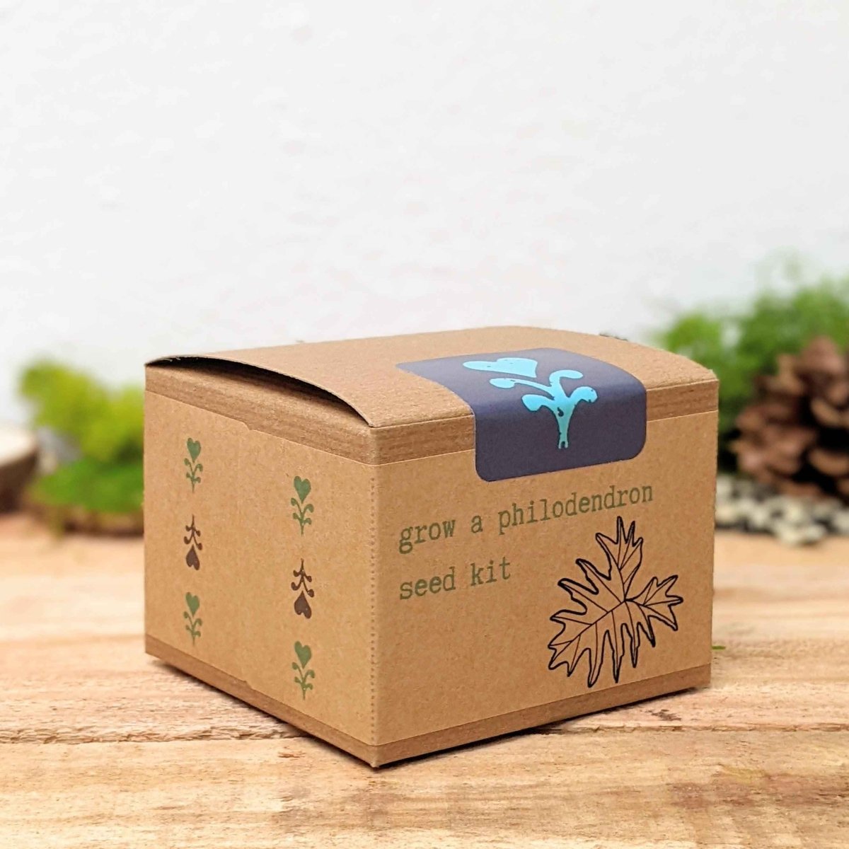 Grow a Philodendron Seed Kit, view 3