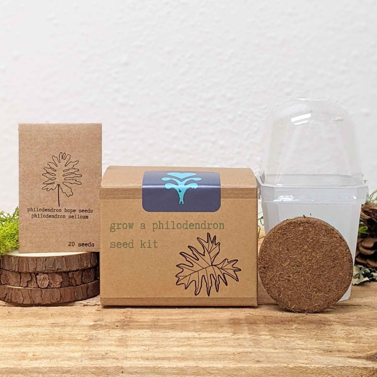 Grow a Philodendron Seed Kit, view 2