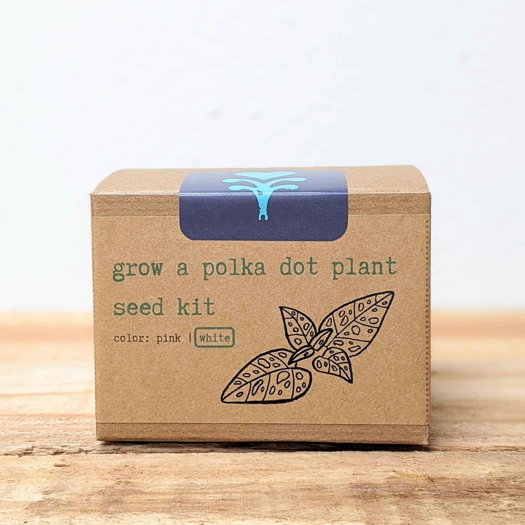 Grow a Polka Dot Seed Kit, view 10