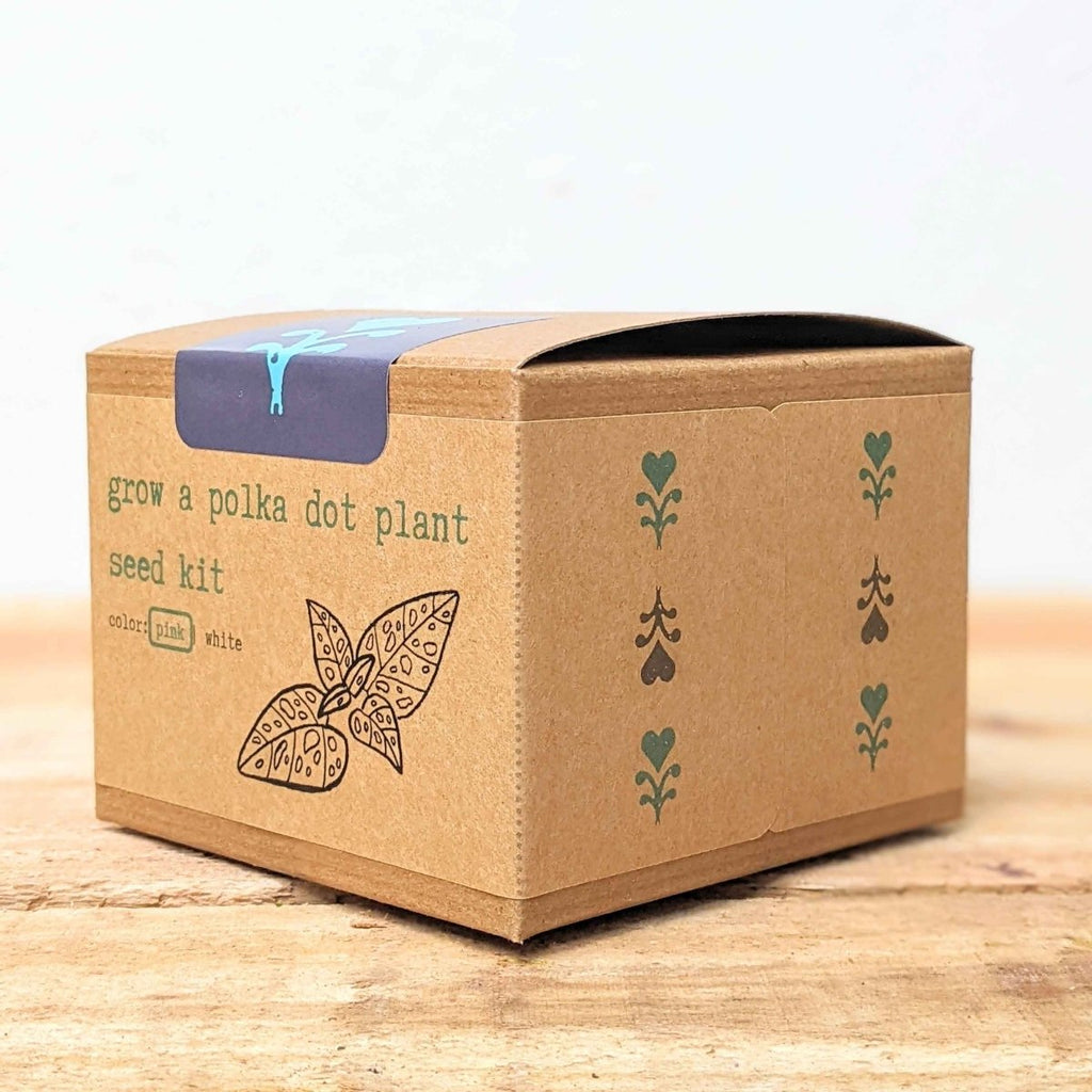 Grow a Polka Dot Seed Kit, view 5