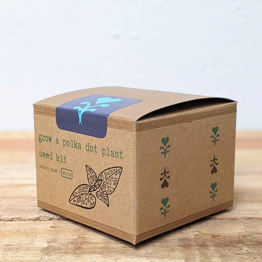 Grow a Polka Dot Seed Kit, view 8