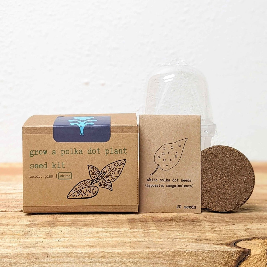 Grow a Polka Dot Seed Kit, view 11