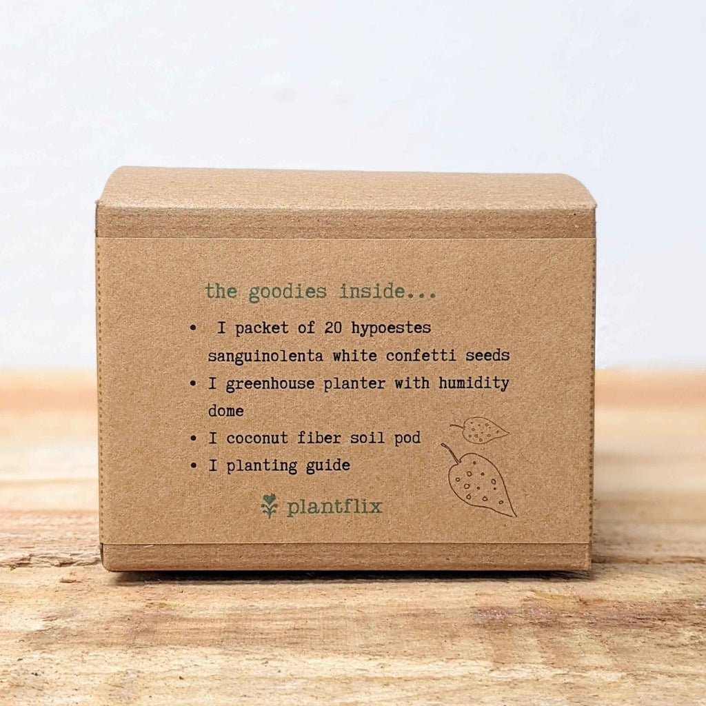 Grow a Polka Dot Seed Kit, view 9