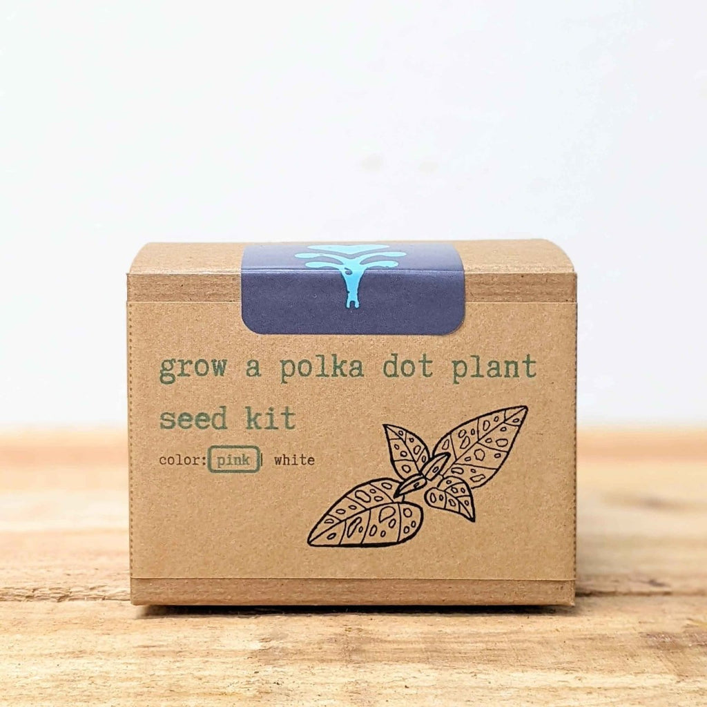 Grow a Polka Dot Seed Kit, view 4