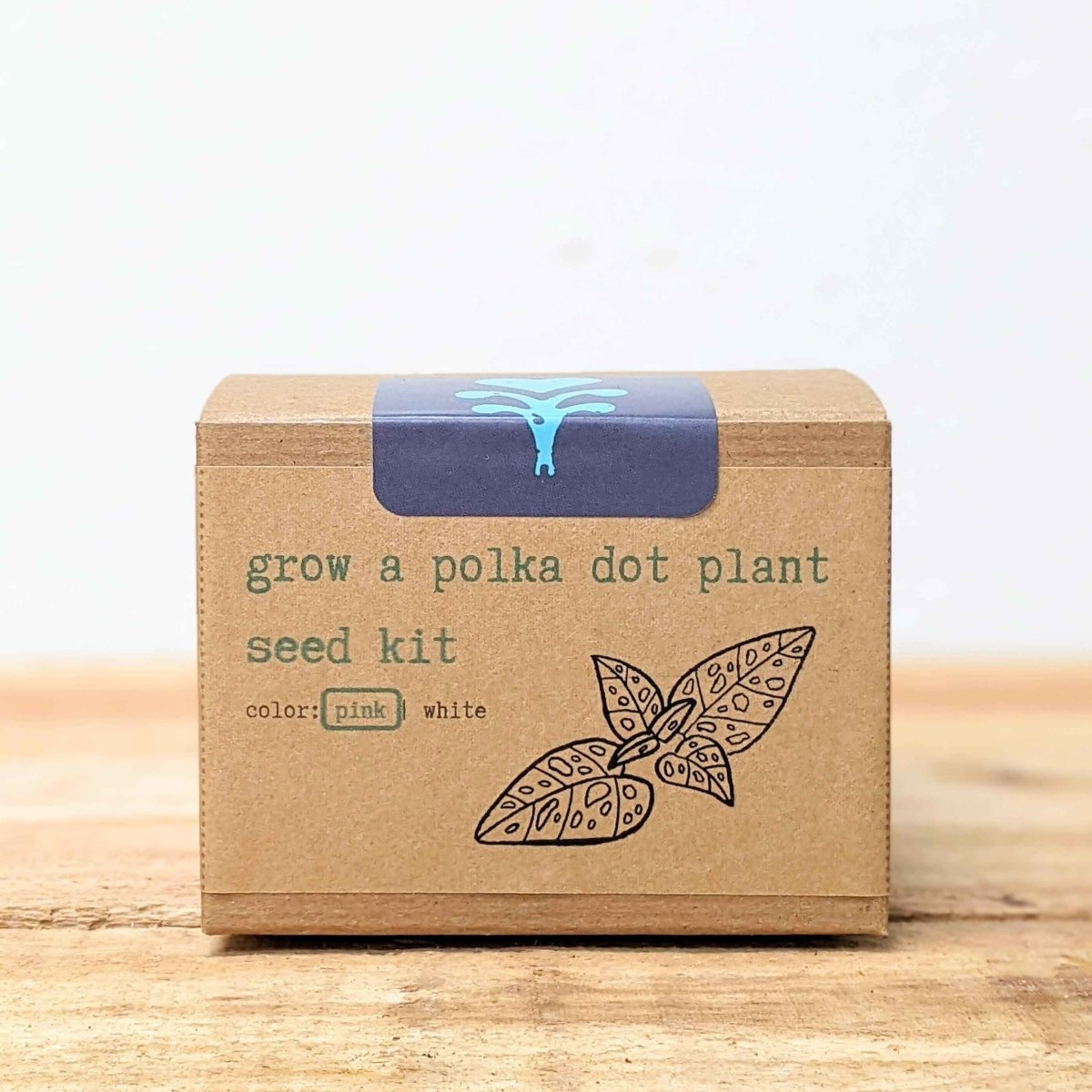 Grow a Polka Dot Seed Kit, view 4