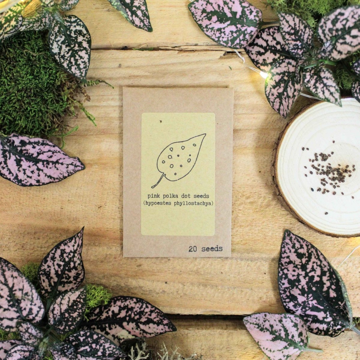 Grow a Polka Dot Seed Kit, view 3