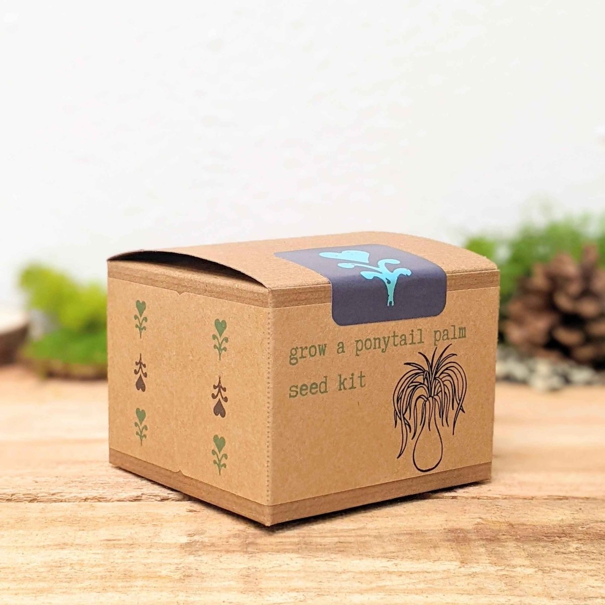 Grow a Ponytail Palm Seed Kit, view 3