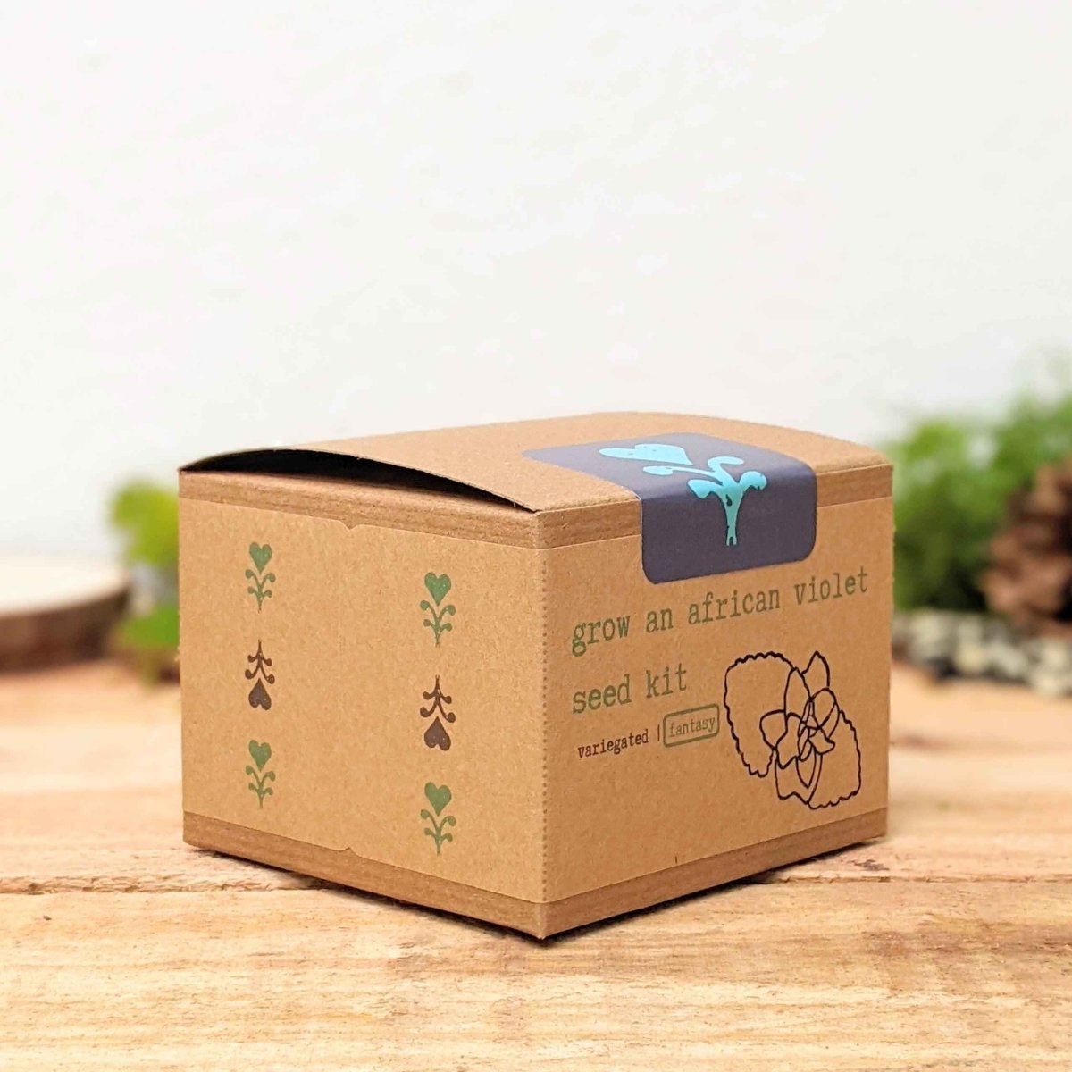 Grow an African Violet Seed Kit, view 3