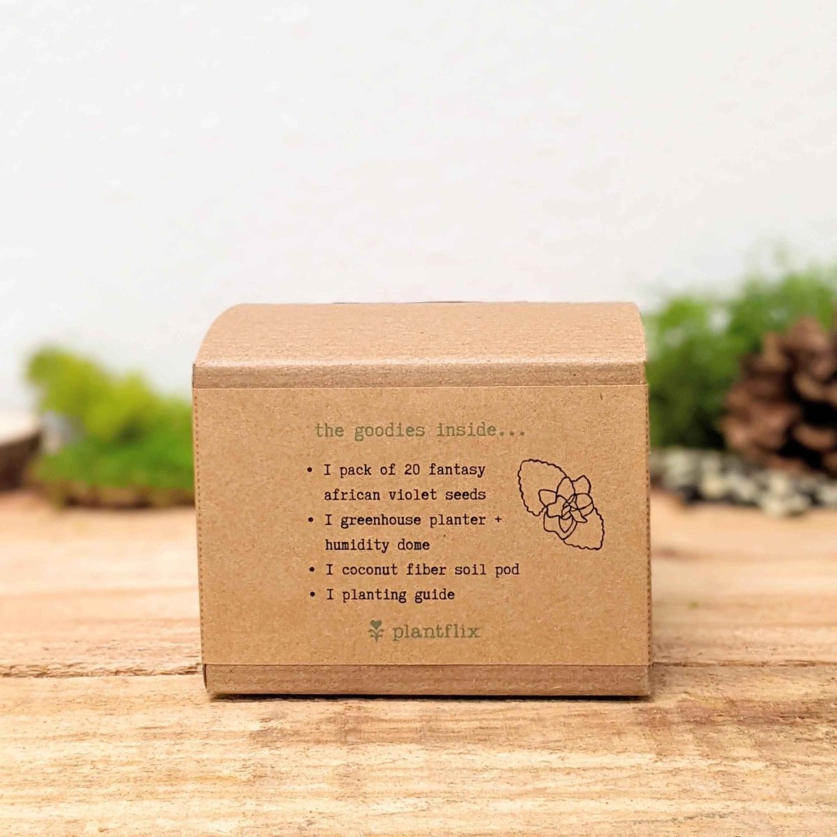 Grow an African Violet Seed Kit, view 4