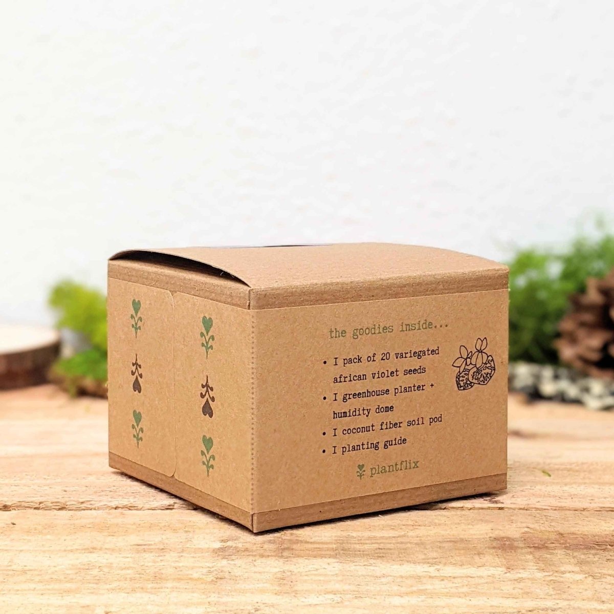 Grow an African Violet Seed Kit, view 9