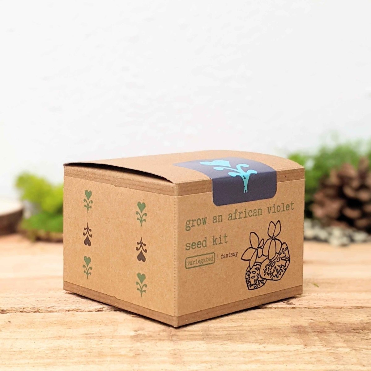 Grow an African Violet Seed Kit, view 7