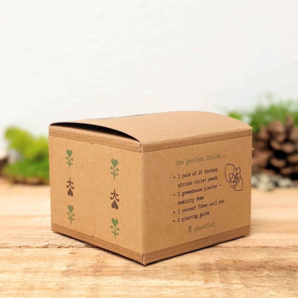 Grow an African Violet Seed Kit, view 5