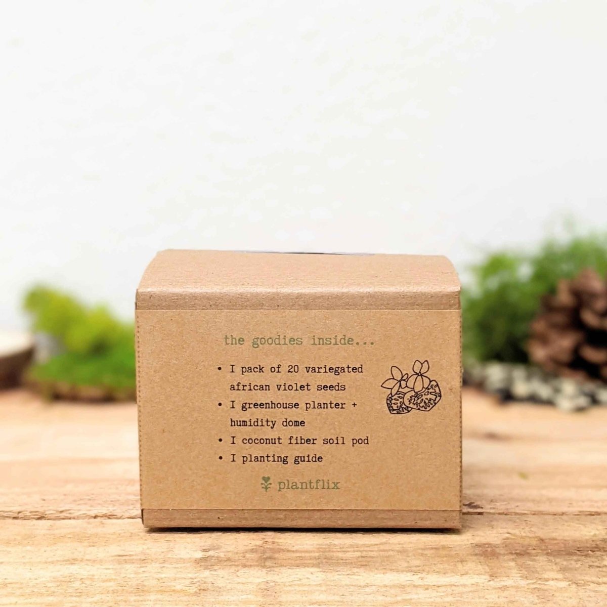Grow an African Violet Seed Kit, view 8