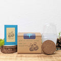Grow an African Violet Seed Kit, view 2