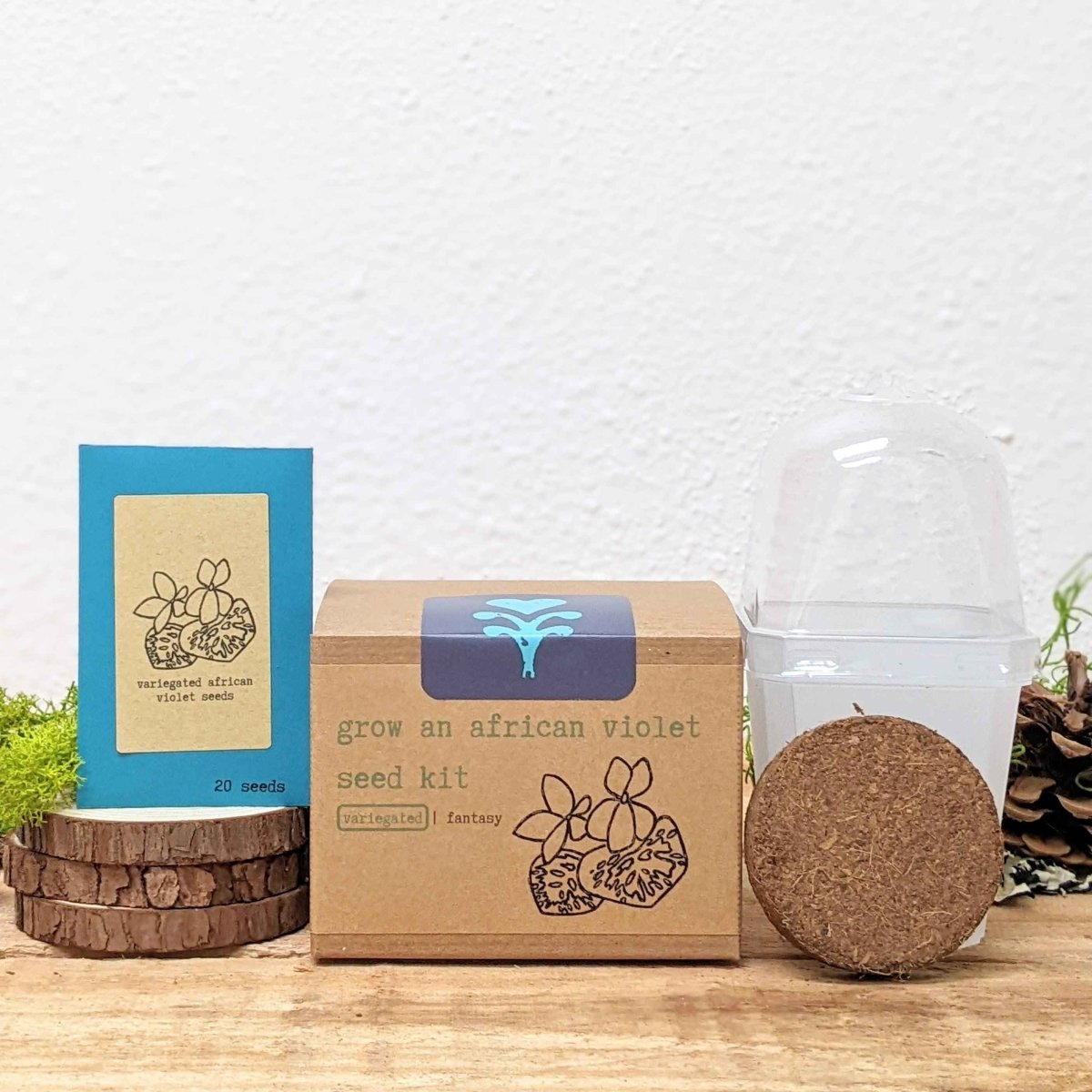 Grow an African Violet Seed Kit, view 2
