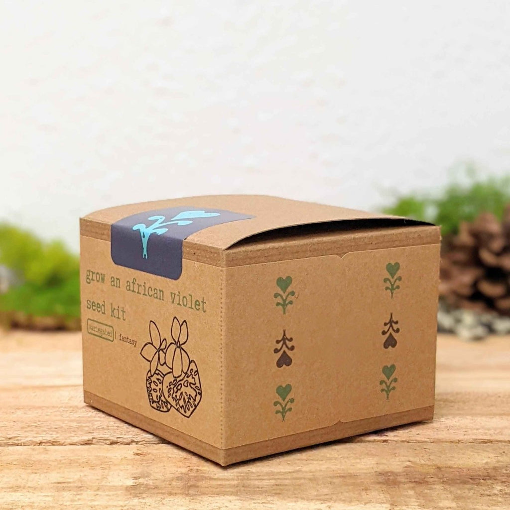 Grow an African Violet Seed Kit, view 10