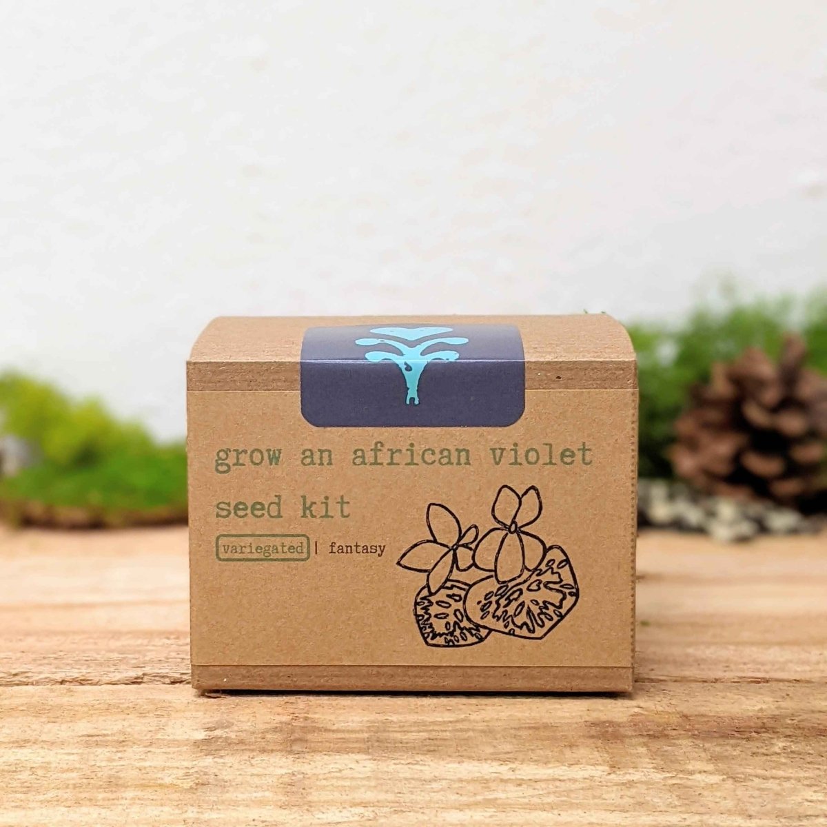Grow an African Violet Seed Kit, view 11