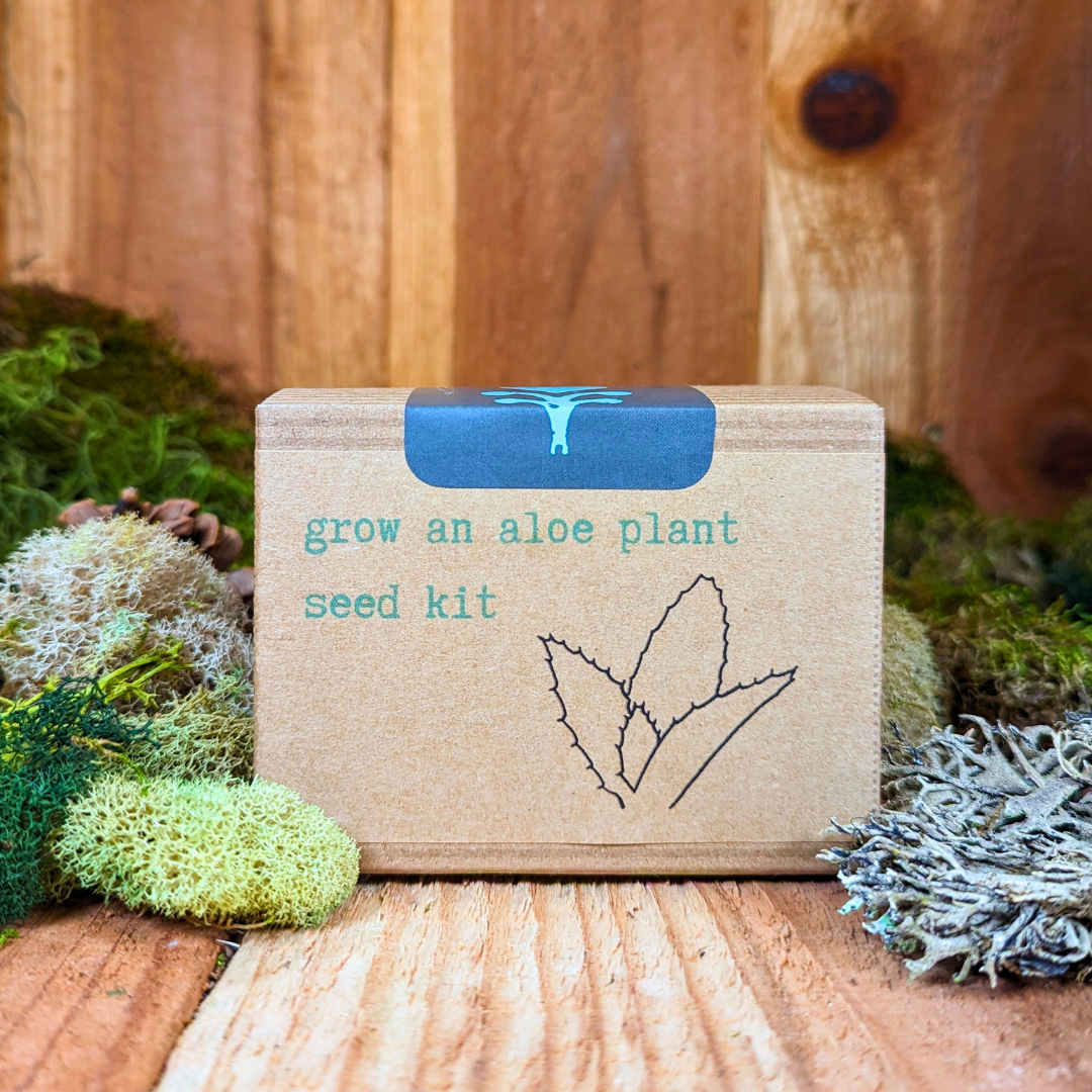 Grow an Aloe Plant Seed Kit, view 3