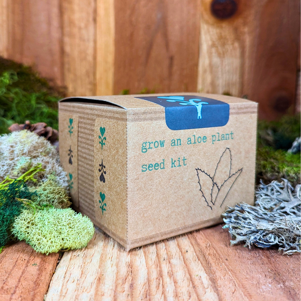 Grow an Aloe Plant Seed Kit, view 4