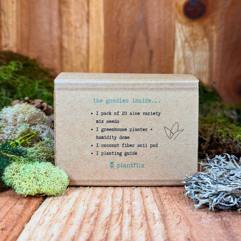 Grow an Aloe Plant Seed Kit, view 5