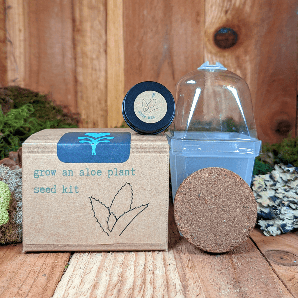 Grow an Aloe Plant Seed Kit, view 2