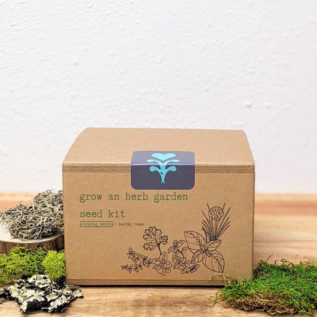 "Grow an Herb Garden" Cooking Herbs Seed Kit, view 3