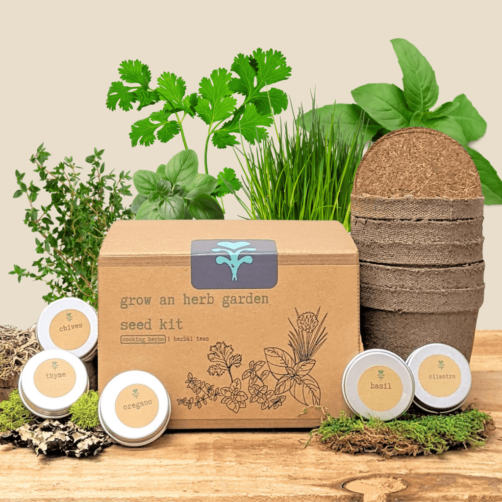 "Grow an Herb Garden" Cooking Herbs Seed Kit