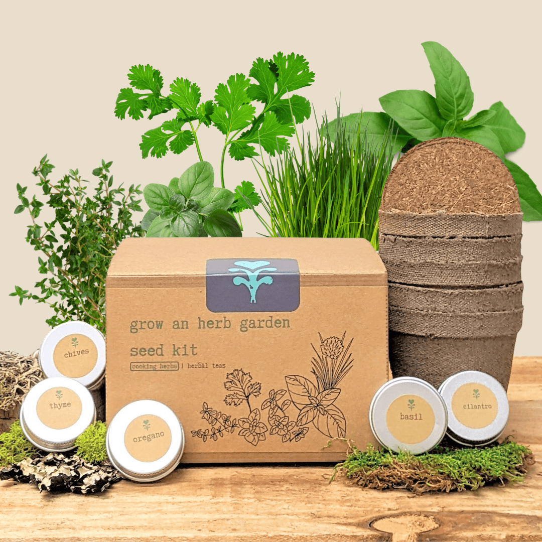 "Grow an Herb Garden" Cooking Herbs Seed Kit