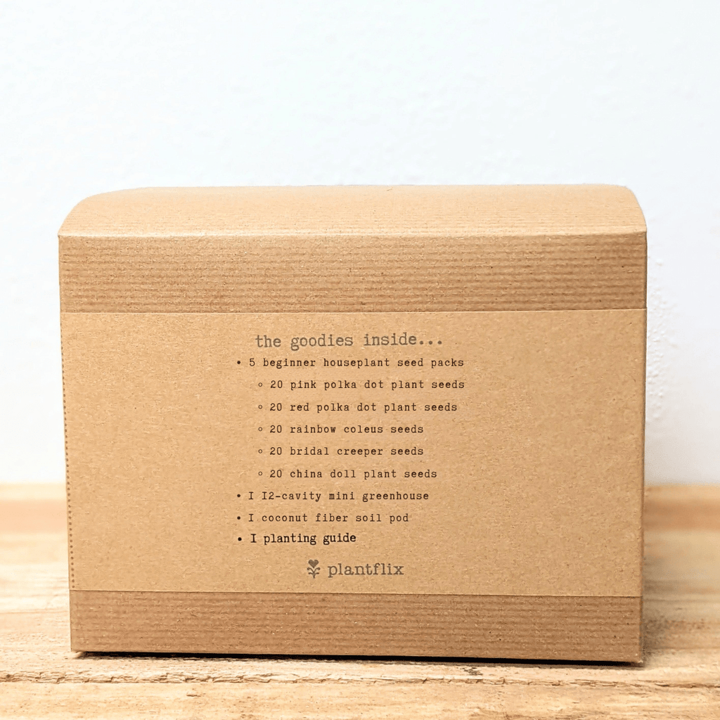 "Grow an Indoor Jungle" Houseplant Seed Kit, view 4