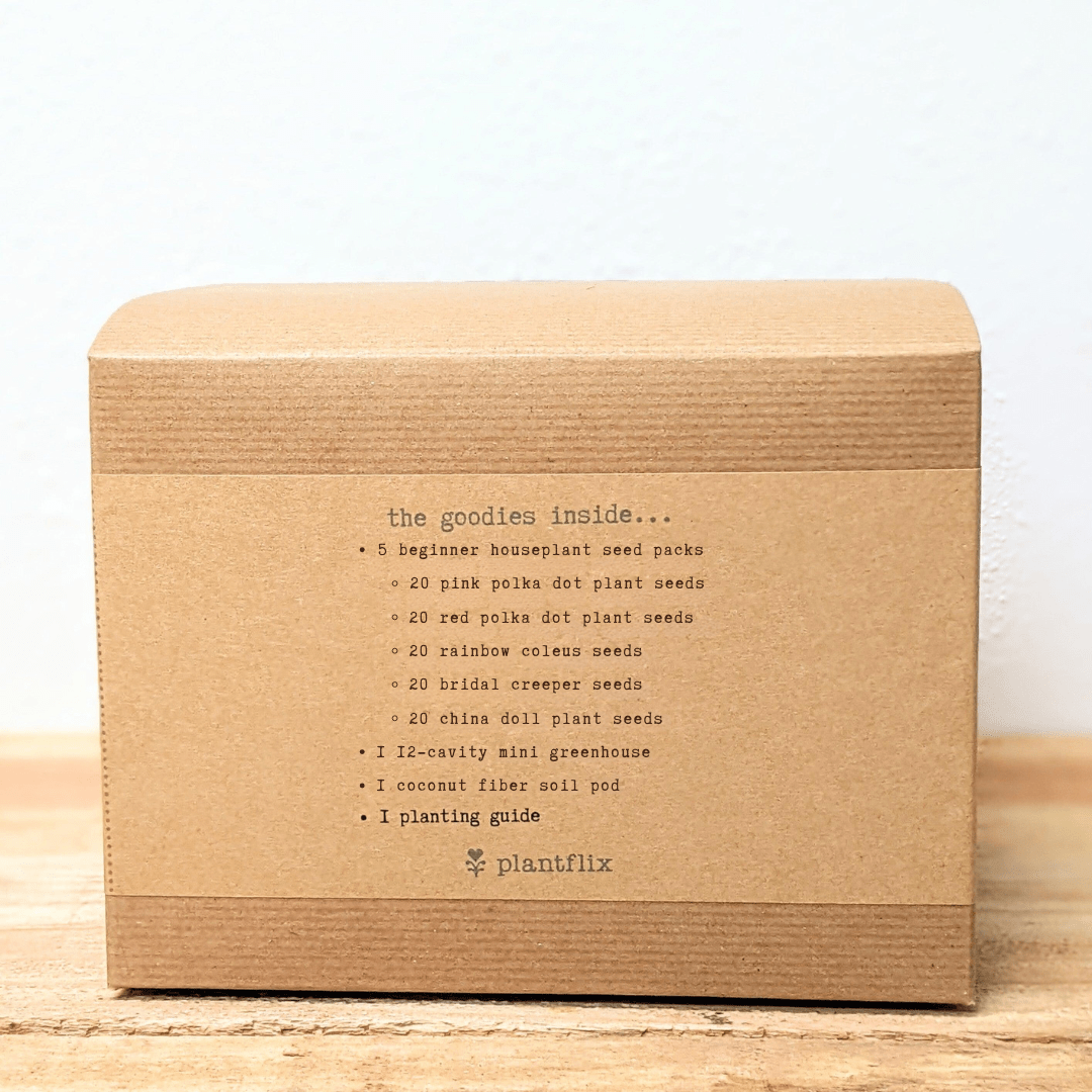 "Grow an Indoor Jungle" Houseplant Seed Kit, view 4