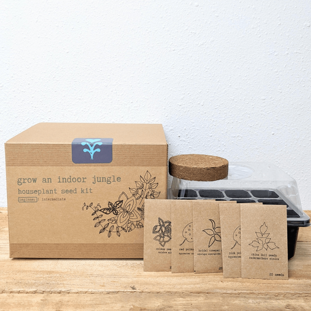 "Grow an Indoor Jungle" Houseplant Seed Kit, view 2