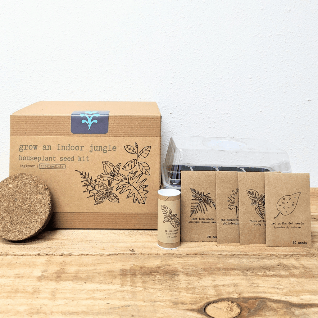 "Grow an Indoor Jungle" Houseplant Seed Kit, view 7